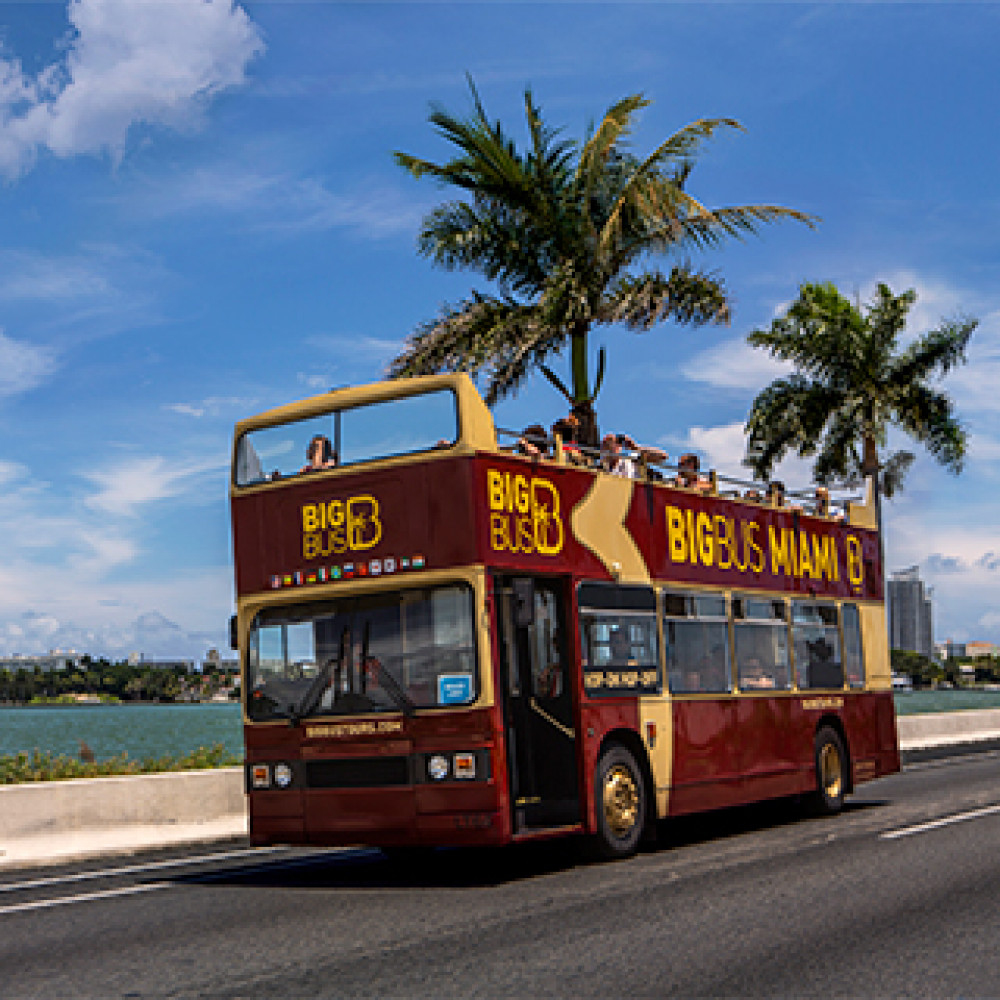 Big Bus Miami Discover - Hop On Hop Off Bus Ticket - 24 Hours