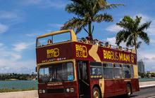 Big Bus Tours Ltd1