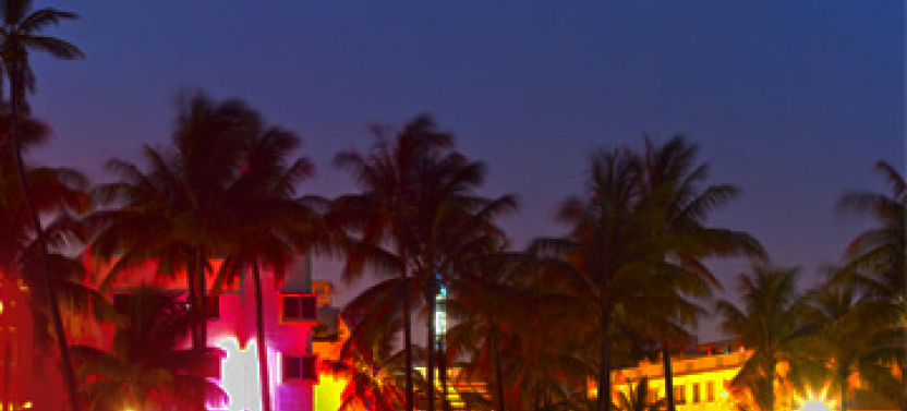 Big Bus Miami Night Tour