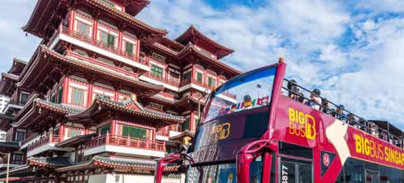 Big Bus Singapore Discover - Hop On Hop Off Bus Ticket - 24 Hours