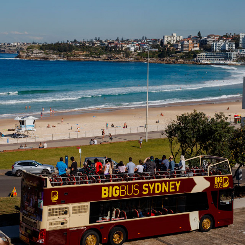 Big Bus Sydney Explore - Hop On Hop Off Bus Ticket - 24 Hours