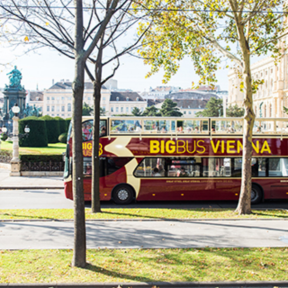 Big Bus Vienna Discover - Hop On Hop Off Bus Ticket - 24 Hours