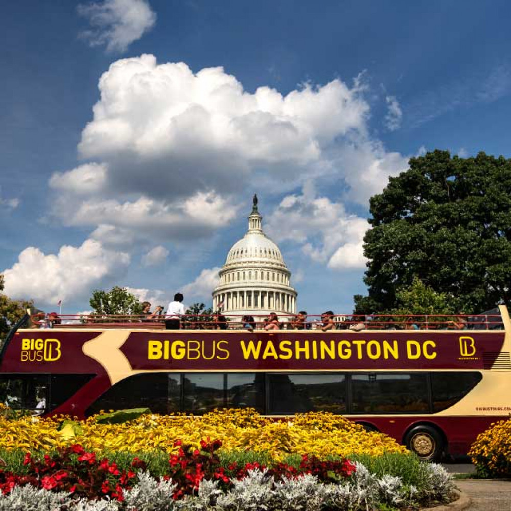 Big Bus Washington DC Discover - 1-Day Hop-On Hop-Off Bus Ticket