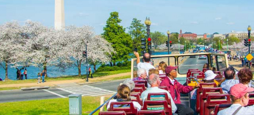 Big Bus DC: 48-hour Hop-On Hop-Off Tour and Arlington Walking Tour