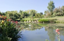 Guided Tour to Giverny - Claude Monet’s Home and Gardens