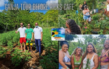 Aloha Jamaica Tours9