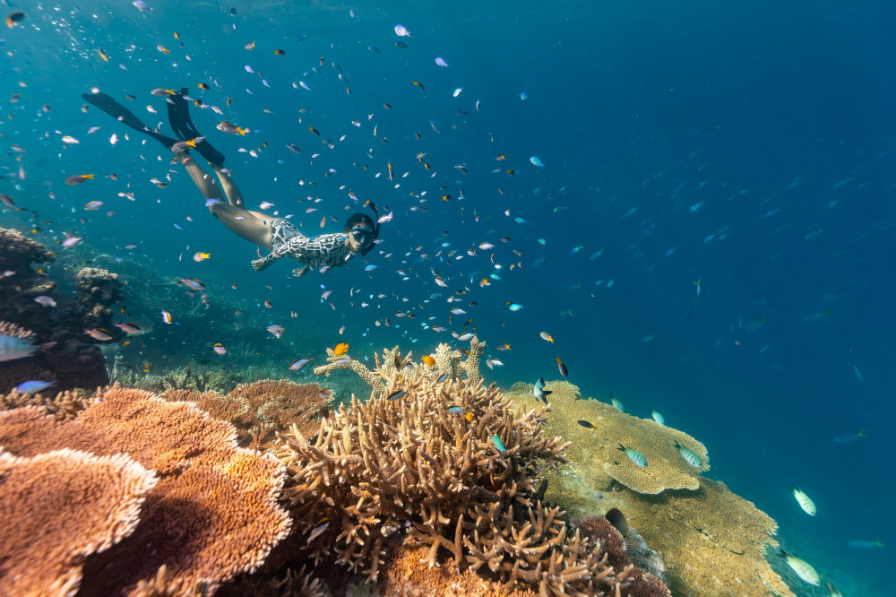 Outer Reef Snorkel Adventure