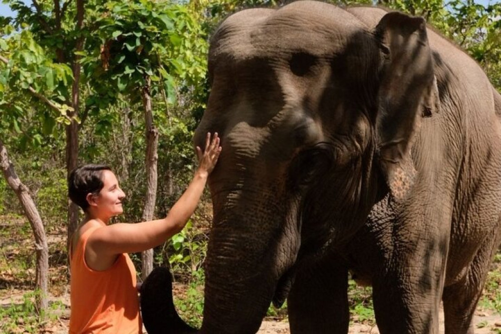 Phnom Tamao Wildlife Rescue Center, Buddha Kiri Cambodia Day Tour