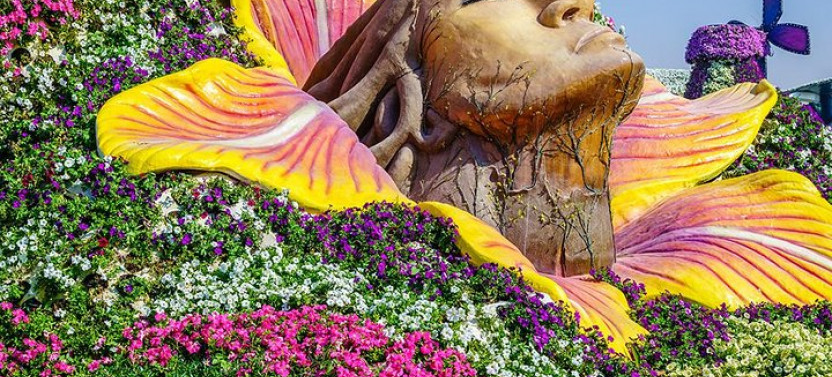 Miracle Garden Dubai Including Pickup & Drop Off