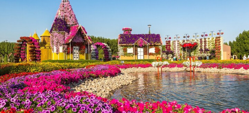 Miracle Garden Dubai Including Pickup & Drop Off