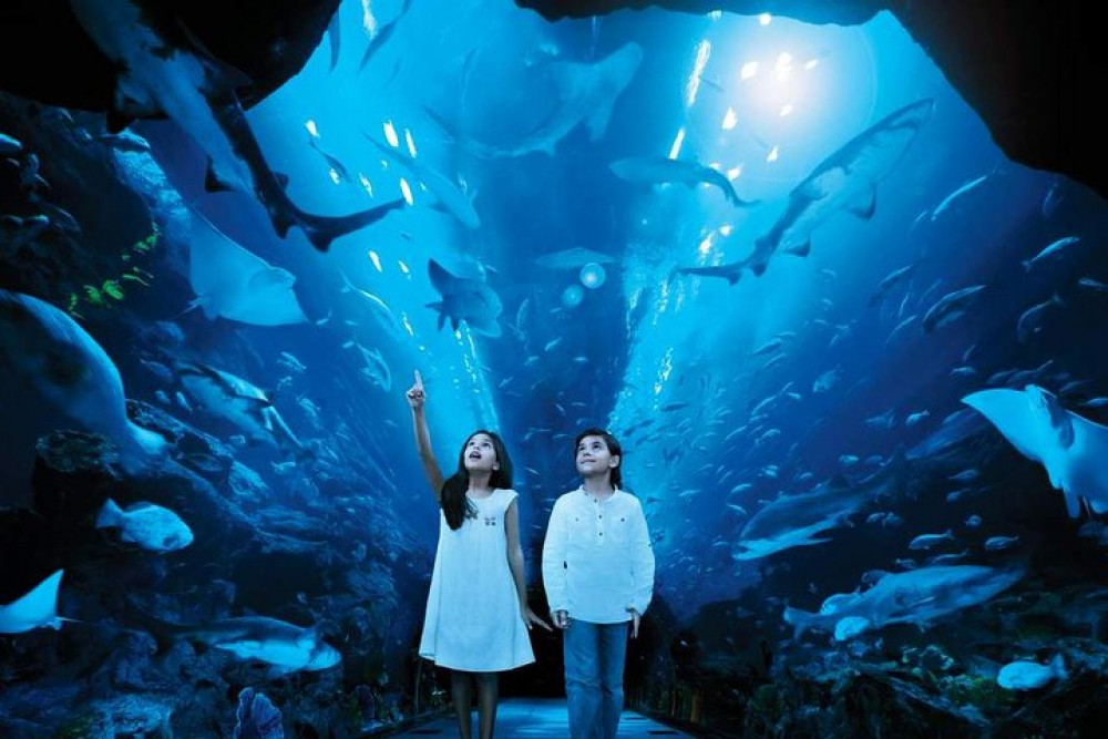 Burj Khalifa At the Top Ticket With Dubai Aquarium & Underwater Zoo