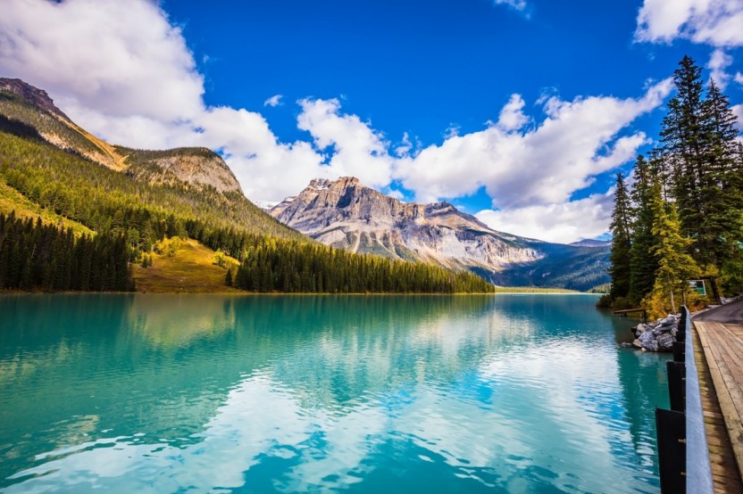 7 Day Western Canada National Parks Tour - Camping