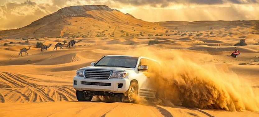 Evening Desert Safari Dubai With Buffet, Dune Bashing, Camel Riding