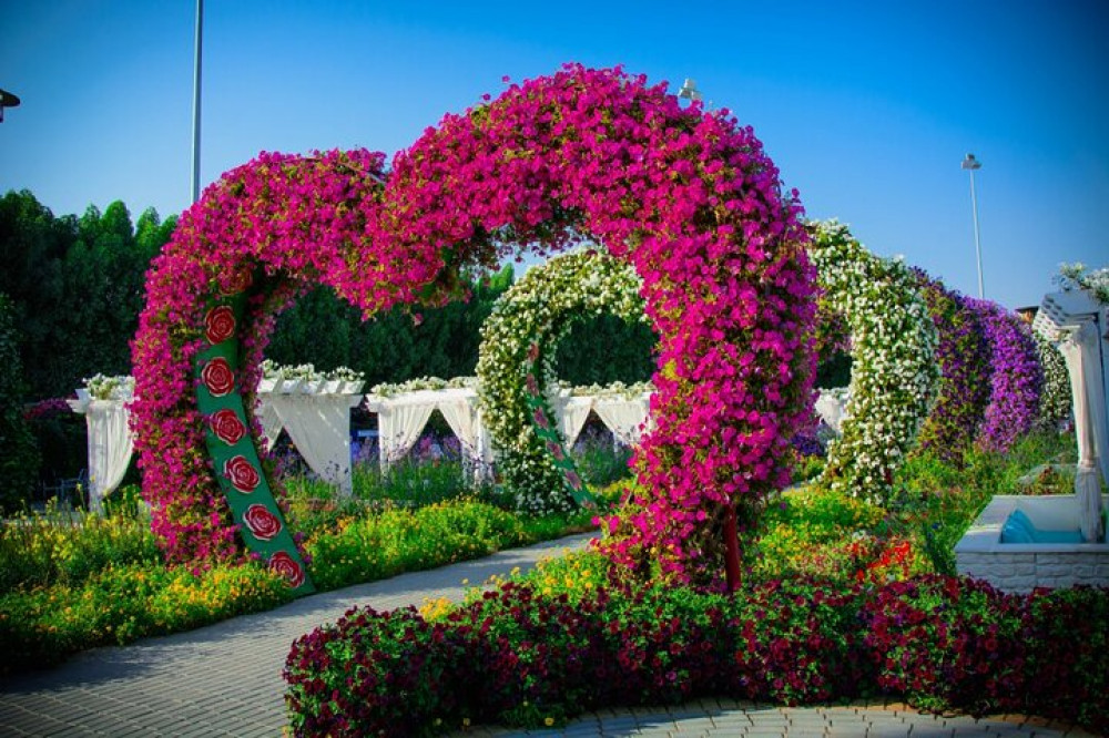 Dubai Miracle Garden and Glow Garden Tour With Pickup