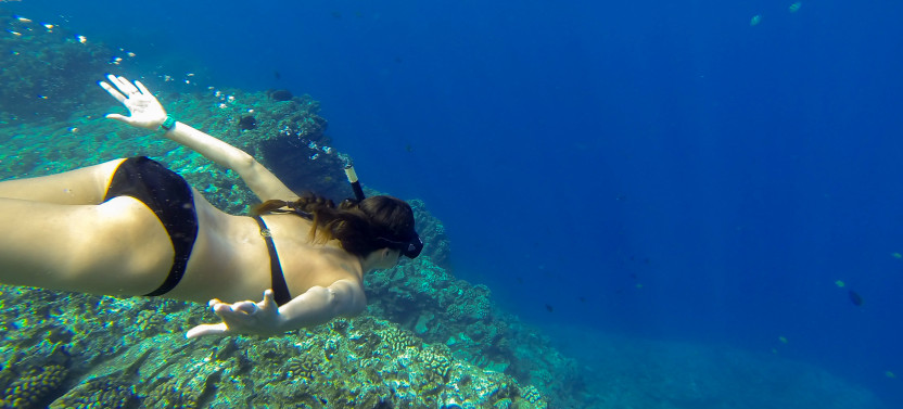 Super Snorkel – Napali Tour + “Forbidden Island” of Niihau