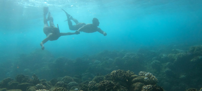 Napali Snorkel Sail