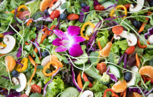 Holo Holo Charters13