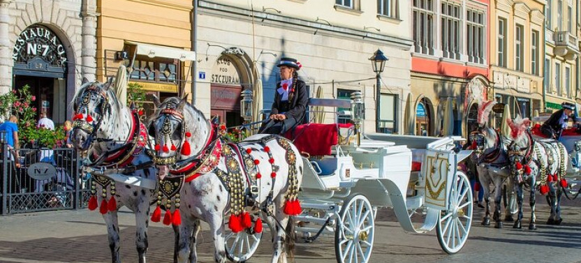 Krakow Private Walking Tour With A Professional Guide