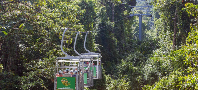 2-in-1 Sky Tram and Sky Trek