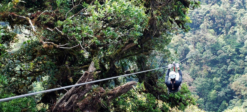 2-in-1 Sky Tram and Sky Trek