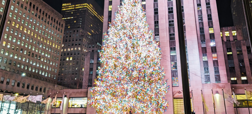 NYC Holiday Lights Tour