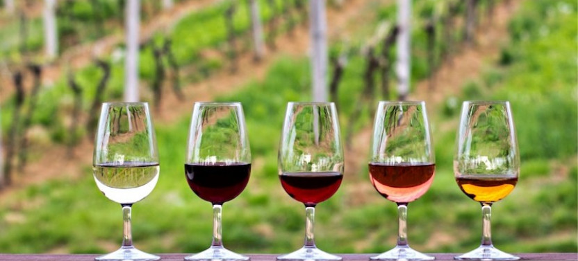 Half-Day Hill Country Wine Shuttle