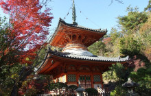 Beauty of Japan2