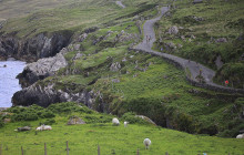 Killarney Executive Tour co2