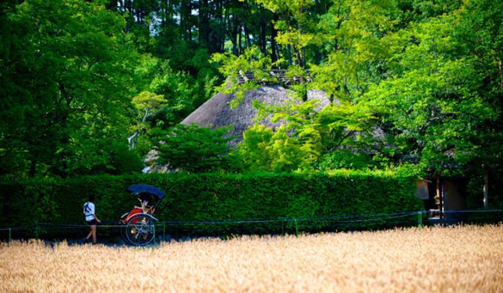 Rickshaw Ride In Arashiyama, Kyoto - Kyoto | Project Expedition