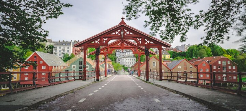 Trondheim Private Walking Tour