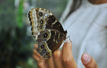 Tripventura Tourism L.L.C6