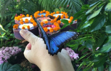 Tripventura Tourism L.L.C8