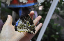 Tripventura Tourism L.L.C9