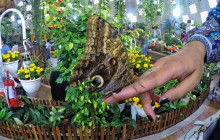 Tripventura Tourism L.L.C11