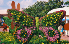 Tripventura Tourism L.L.C12