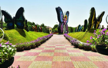 Tripventura Tourism L.L.C13