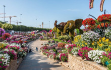 Tripventura Tourism L.L.C22