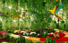 Tripventura Tourism L.L.C24