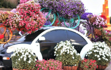 Tripventura Tourism L.L.C26