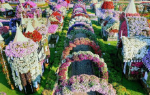 Tripventura Tourism L.L.C29