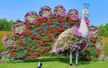 Tripventura Tourism L.L.C31