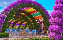 Tripventura Tourism L.L.C32