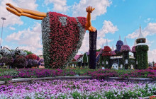 Tripventura Tourism L.L.C39