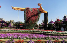 Tripventura Tourism L.L.C40