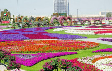 Tripventura Tourism L.L.C42