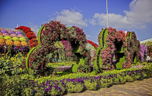 Tripventura Tourism L.L.C47