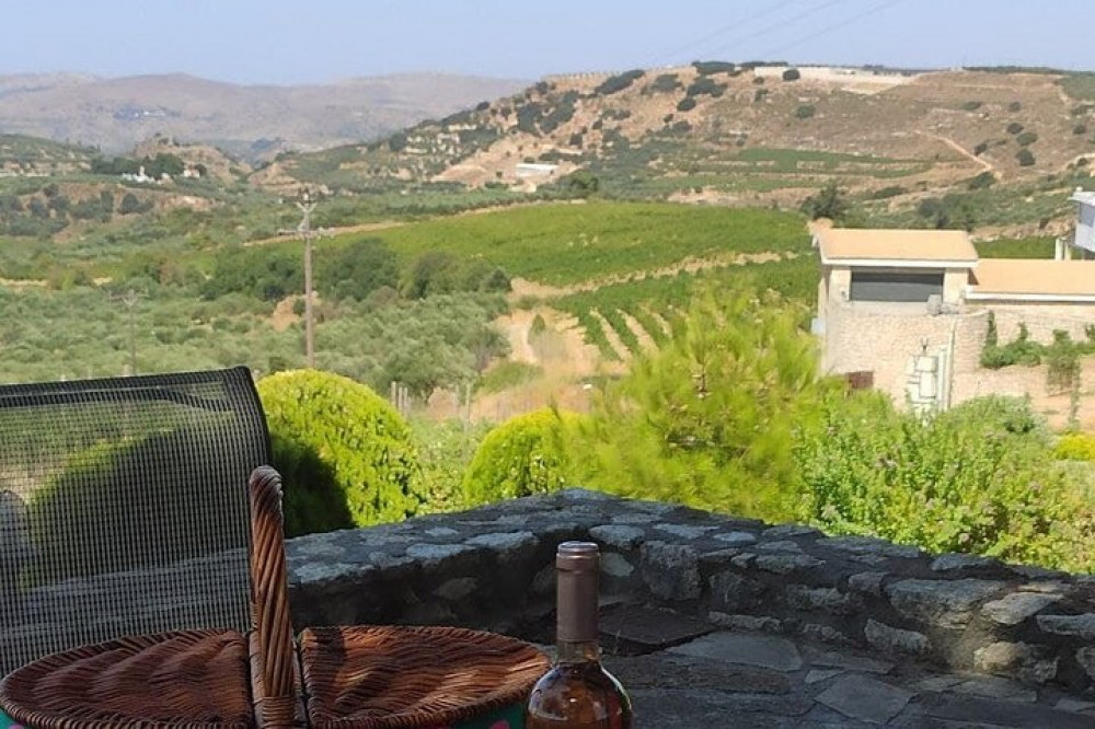 Private Wine Tasting Experience At Domaine Paterianakis (Free Transfer)