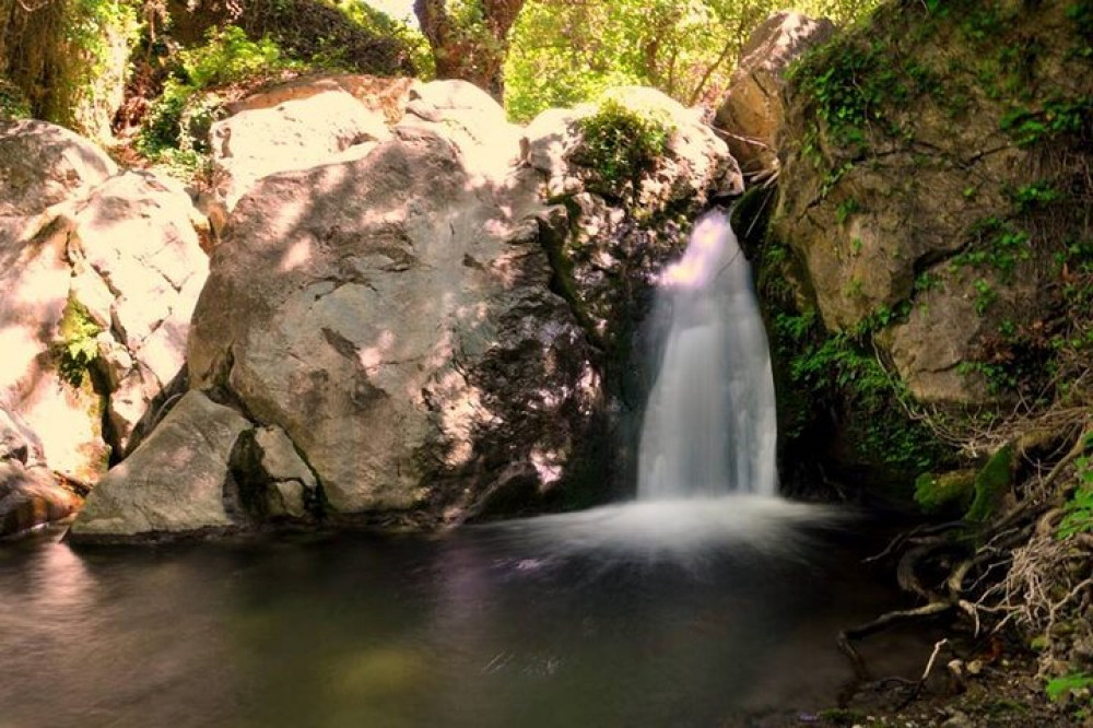 Private Tour To Rihti falls, Mochlos Village & Azoria's Ancient Olive Tree