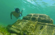 Isla Mia Roots3