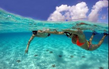 Cozumel Snorkel Tour: Coral Reef, El Cielo & Beach Break® - Cozumel |  Project Expedition